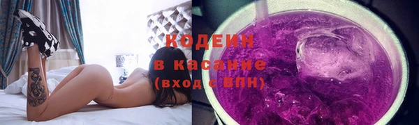 шишки Арсеньев