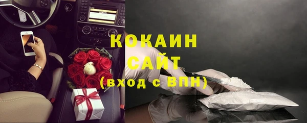 шишки Арсеньев
