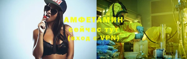 шишки Арсеньев
