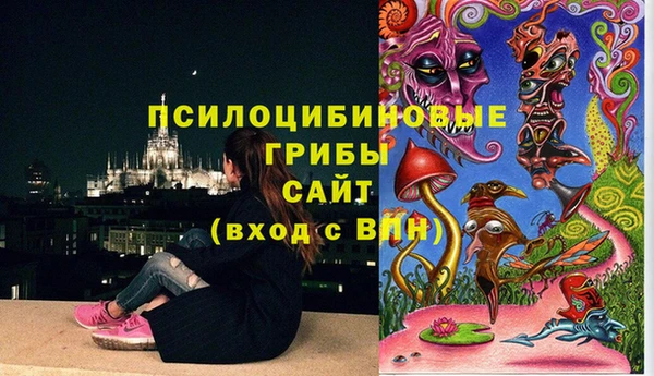 шишки Арсеньев